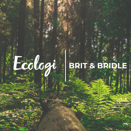 Fashion With Purpose: How Brit & Bridle Is Giving Back to the Planet One Order at a Time
