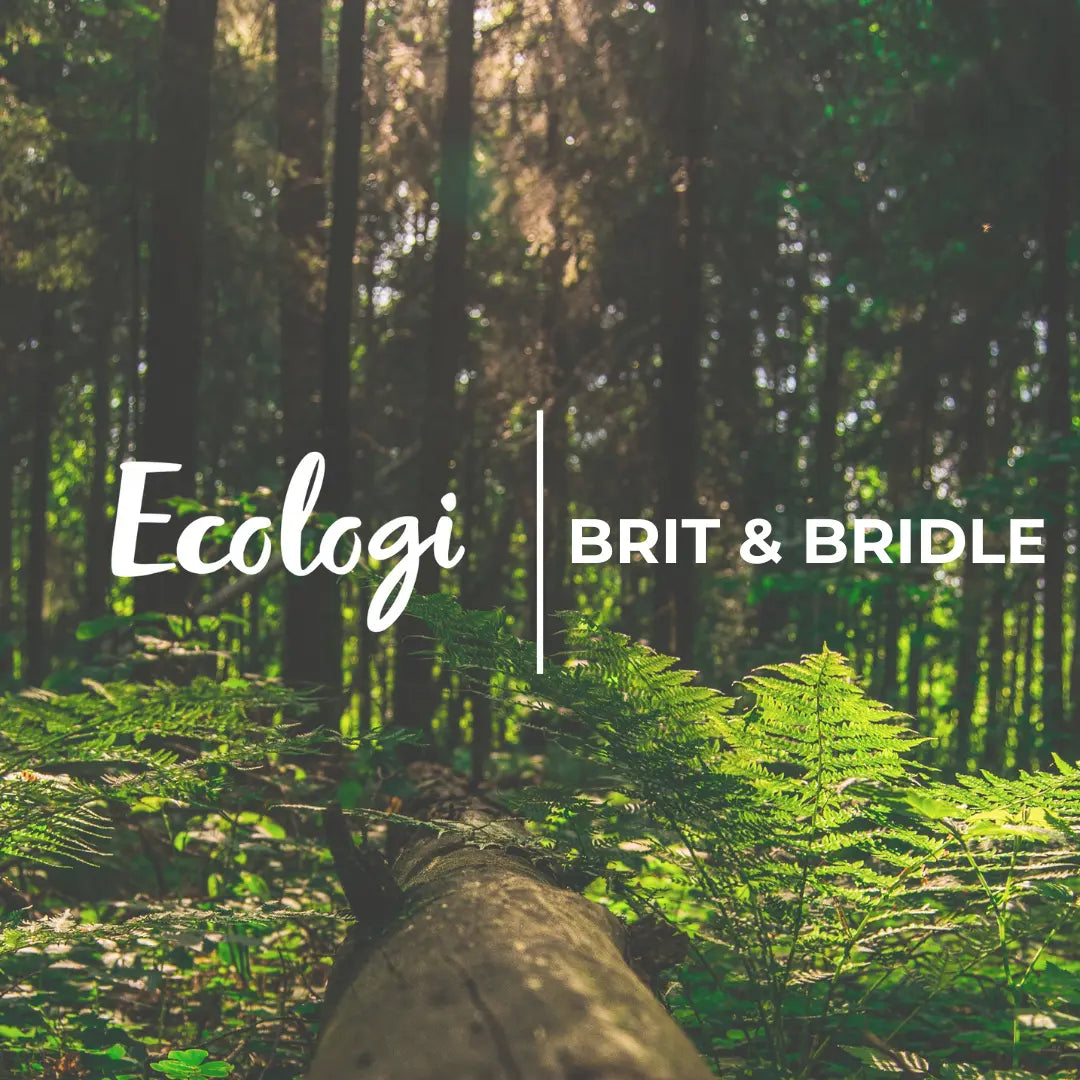 Fashion With Purpose: How Brit & Bridle Is Giving Back to the Planet One Order at a Time